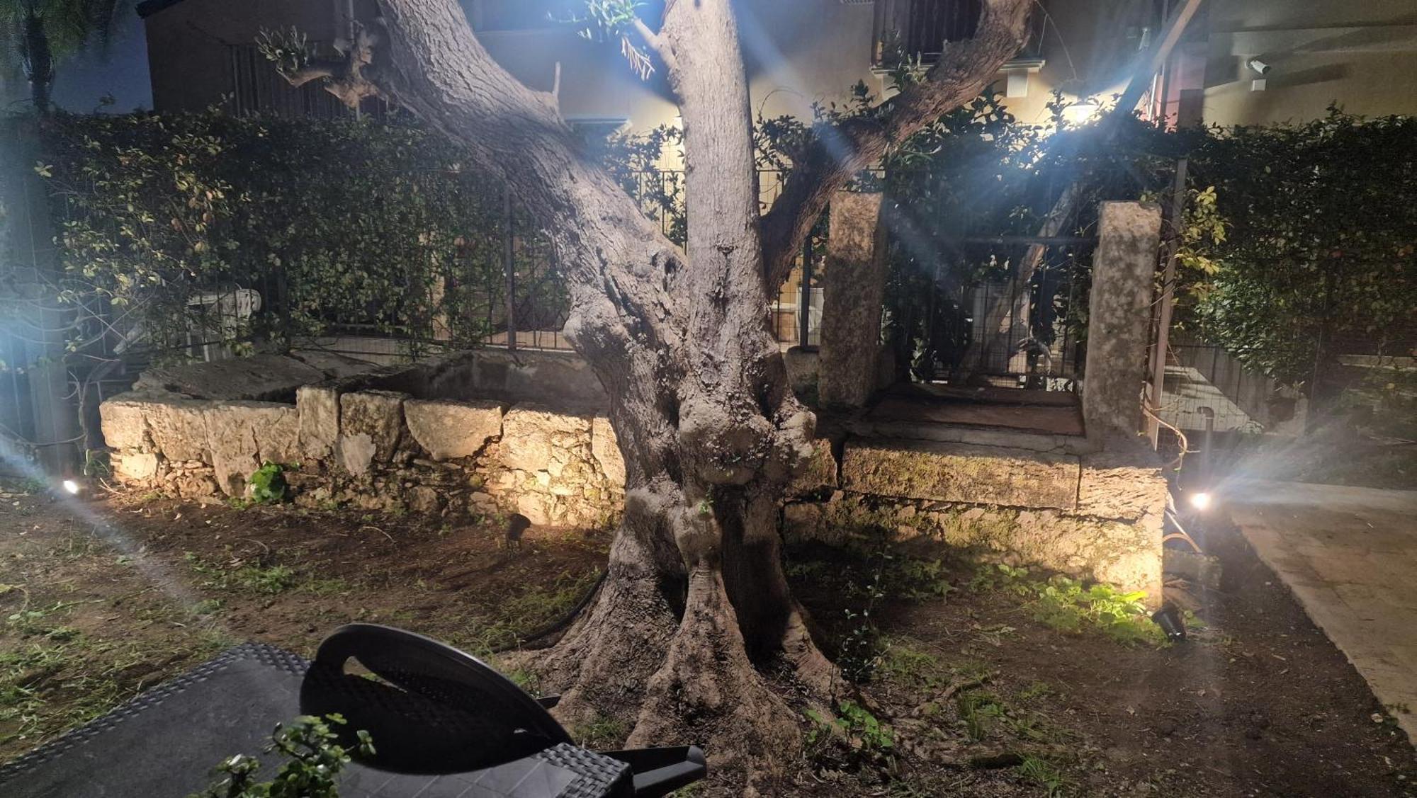 Appart hôtel Le Al Quadrato Syracuse